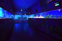 /album/fotogalerie-zoo-morsky-svet-nejvetsi-morske-akvarium-v-cr/zoo-morsky-svet-h-jpg/